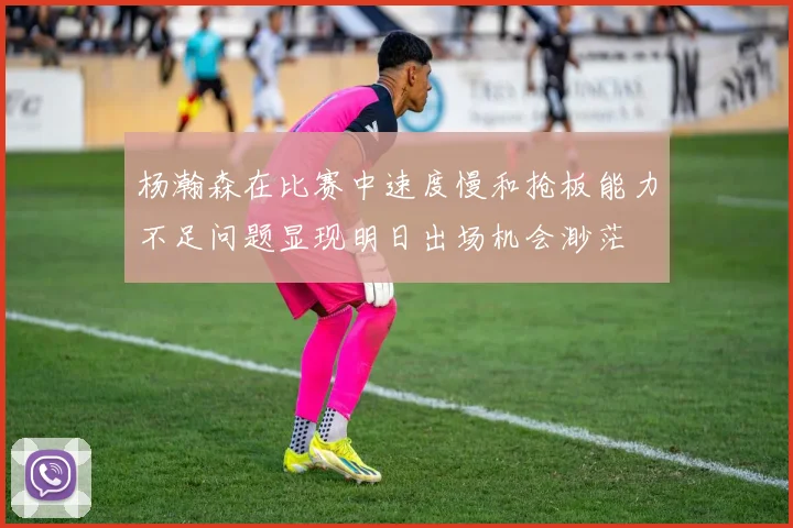 杨瀚森在比赛中速度慢和抢板能力不足问题显现明日出场机会渺茫