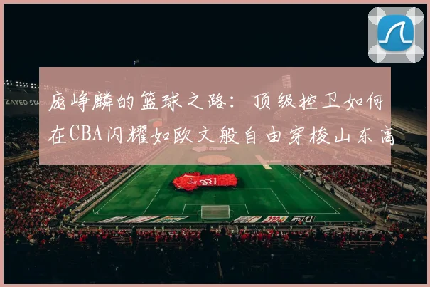 庞峥麟的篮球之路：顶级控卫如何在CBA闪耀如欧文般自由穿梭山东高速